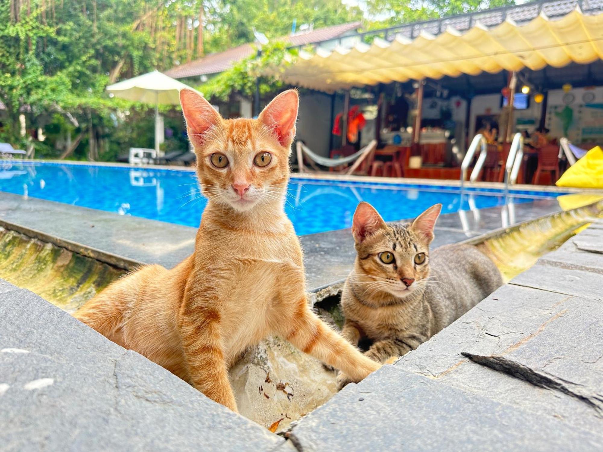 Have Fun Lodge Phu Quoc